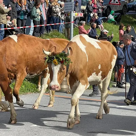 Tendre Est La Nuit A - 6 Personnes, Belle Vue, Confort * Gryon