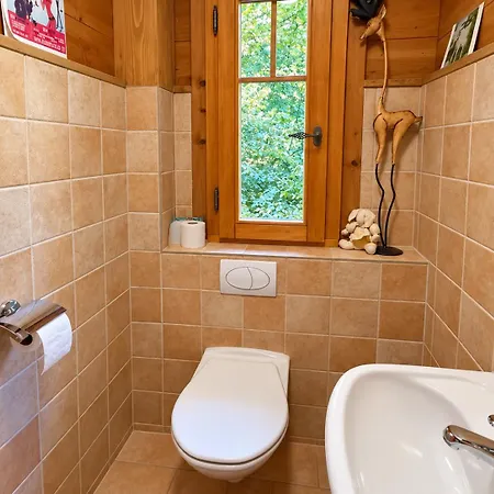 Chalet Tendre Est La Nuit A - 6 Personnes, Belle Vue, Confort Gryon