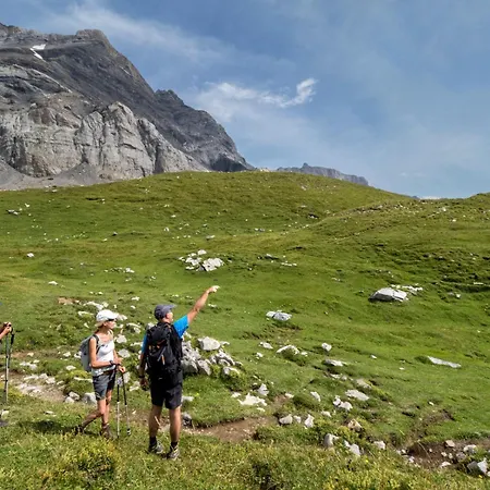 Alpesi faház Tendre Est La Nuit A - 6 Personnes, Belle Vue, Confort Gryon