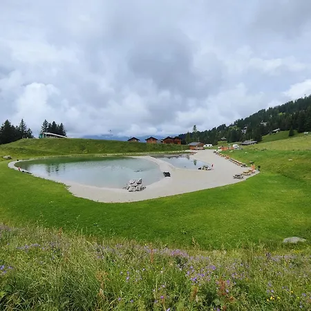 Tendre Est La Nuit A - 6 Personnes, Belle Vue, Confort * Gryon