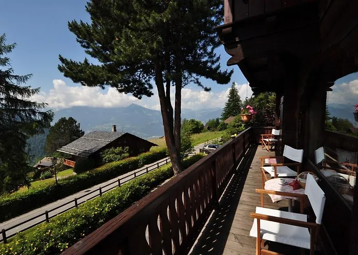 Tendre Est La Nuit A - 6 Personnes, Belle Vue, Confort Chalet *