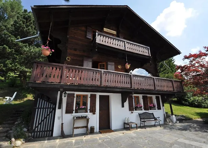 Chalet Tendre Est La Nuit A - 6 Personnes, Belle Vue, Confort Gryon