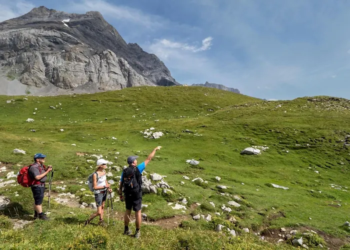 Chalet Tendre Est La Nuit A - 6 Personnes, Belle Vue, Confort Gryon