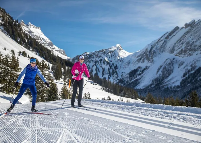 Chalet Tendre Est La Nuit A - 6 Personnes, Belle Vue, Confort Gryon