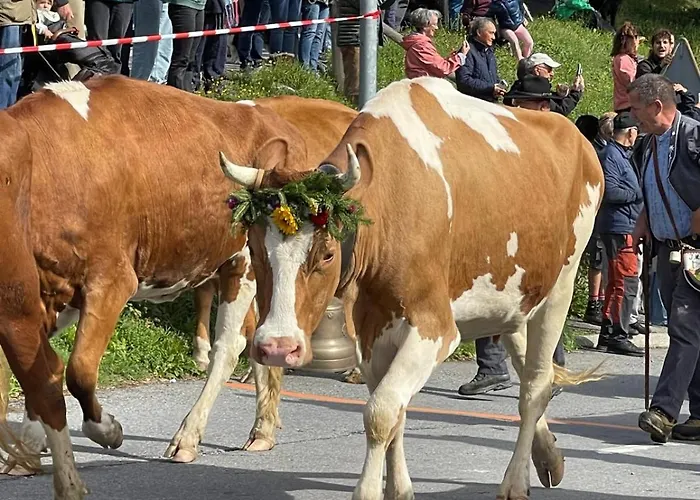 Tendre Est La Nuit A - 6 Personnes, Belle Vue, Confort * Gryon