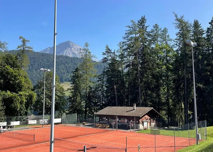 Tendre Est La Nuit A - 6 Personnes, Belle Vue, Confort Chalet Gryon
