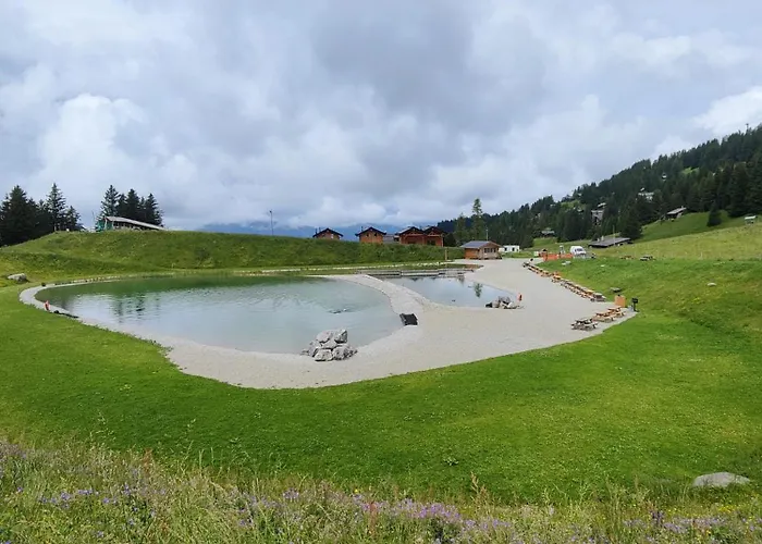 Tendre Est La Nuit A - 6 Personnes, Belle Vue, Confort * Gryon